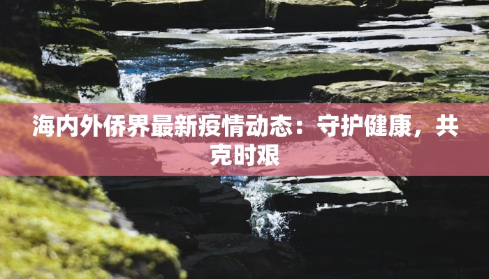 海内外侨界最新疫情动态：守护健康，共克时艰