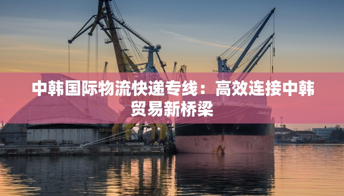 中韩国际物流快递专线：高效连接中韩贸易新桥梁