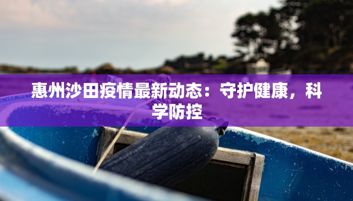 惠州沙田疫情最新动态：守护健康，科学防控