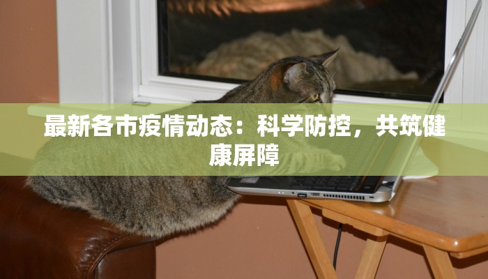 最新各市疫情动态：科学防控，共筑健康屏障