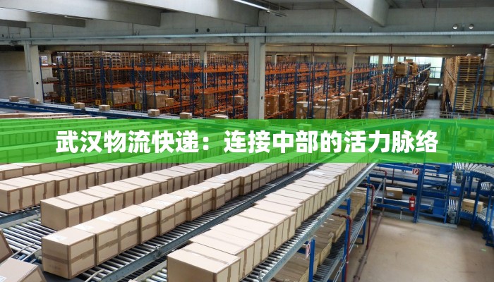 武汉物流快递：连接中部的活力脉络