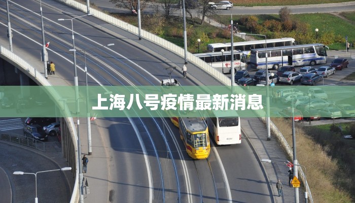 上海八号疫情最新消息