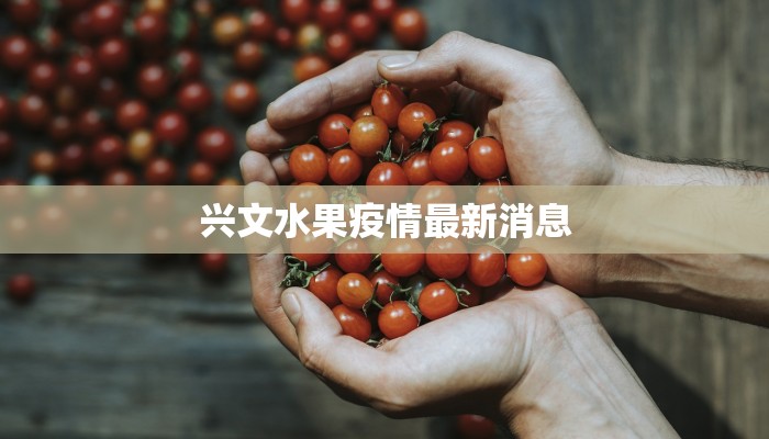 兴文水果疫情最新消息 兴文水果疫情最新消息