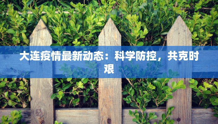 大连疫情最新动态：科学防控，共克时艰