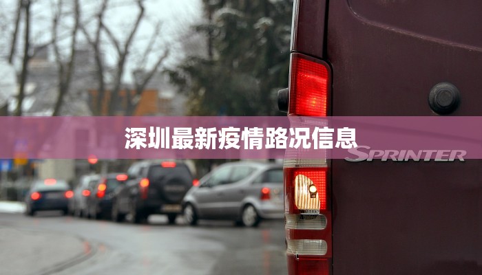 上海疫情最新自驾规定：安全出行，畅享自由