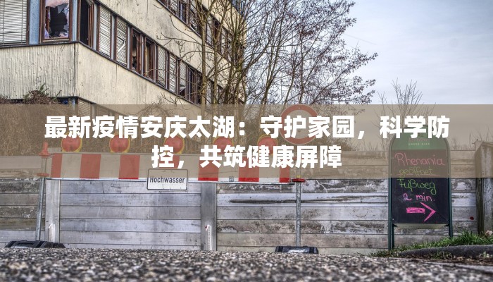 最新疫情安庆太湖：守护家园，科学防控，共筑健康屏障