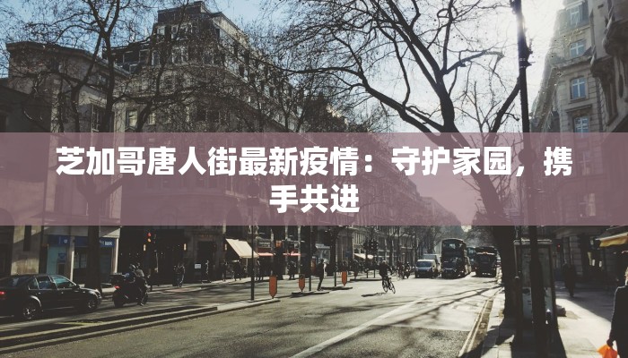 芝加哥唐人街最新疫情：守护家园，携手共进