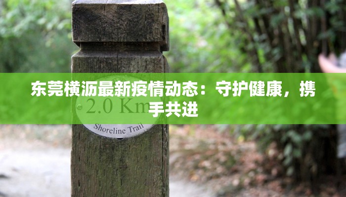 澳门最新增疫情：理性应对，守护健康未来