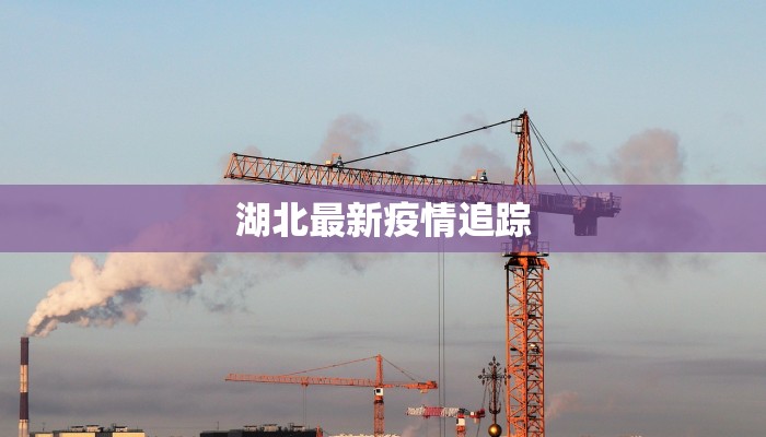 湖北最新疫情追踪