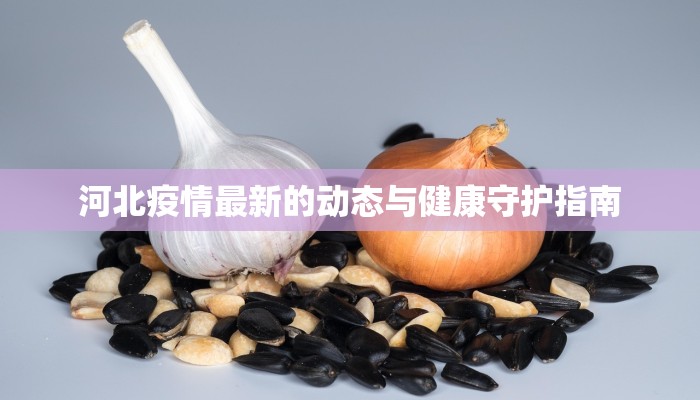 河北疫情最新的动态与健康守护指南