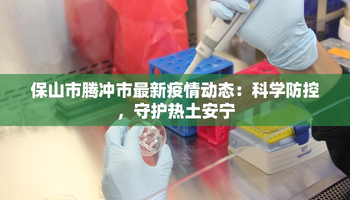 保山市腾冲市最新疫情动态：科学防控，守护热土安宁