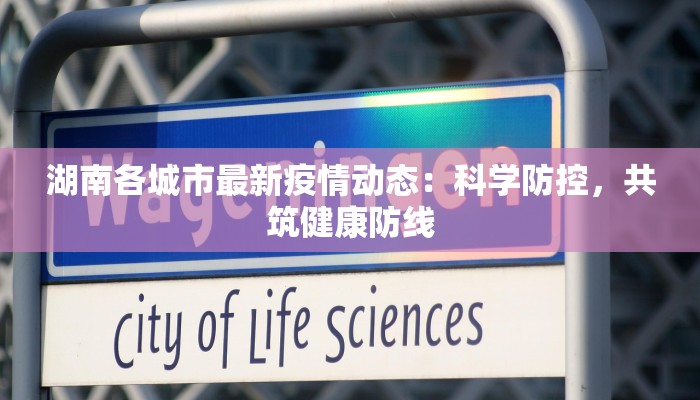 湖南各城市最新疫情动态:科学防控,共筑健康防线 湖南各城市最新疫情动态:科学防控,共筑健康防线