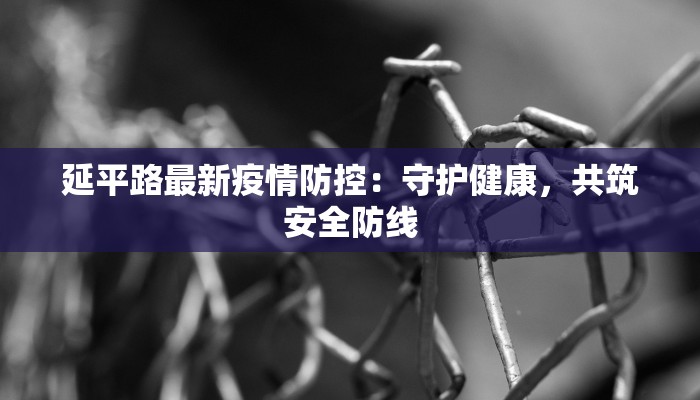 延平路最新疫情防控：守护健康，共筑安全防线