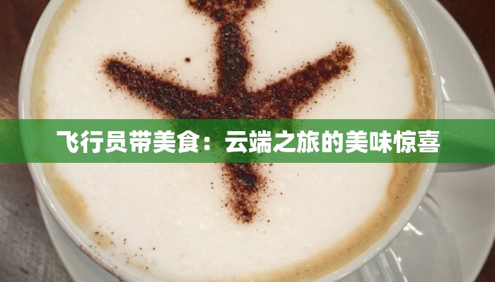 飞行员带美食：云端之旅的美味惊喜
