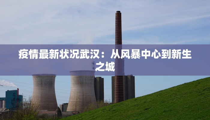 疫情最新状况武汉：从风暴中心到新生之城