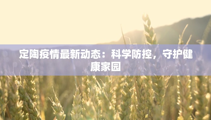 定陶疫情最新动态：科学防控，守护健康家园