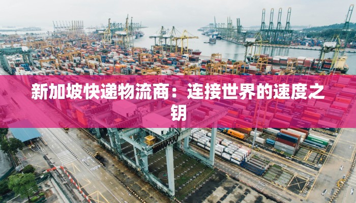 新加坡快递物流商:连接世界的速度之钥 新加坡快递物流商:连接世界的速度之钥