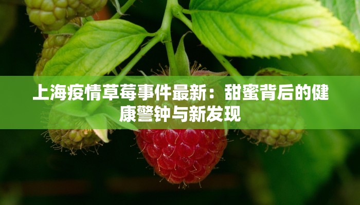 上海疫情草莓事件最新：甜蜜背后的健康警钟与新发现