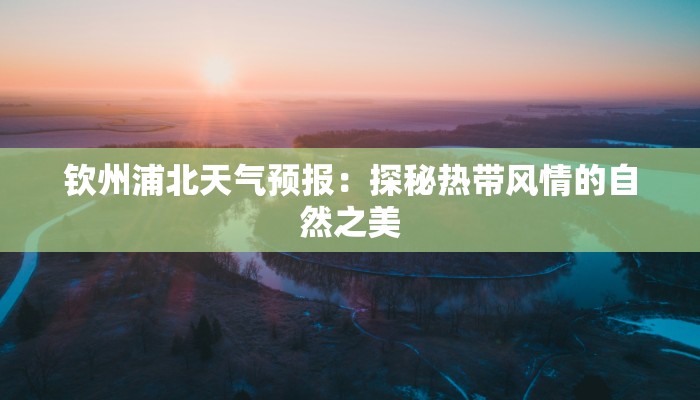 钦州浦北天气预报：探秘热带风情的自然之美