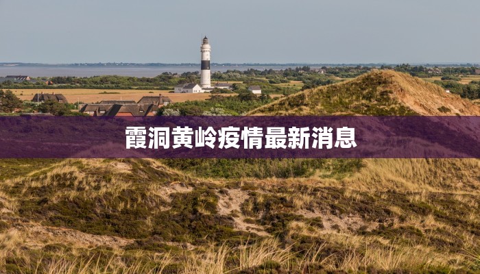 霞洞黄岭疫情最新消息