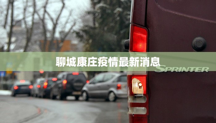 聊城康庄疫情最新消息 聊城康庄疫情最新消息