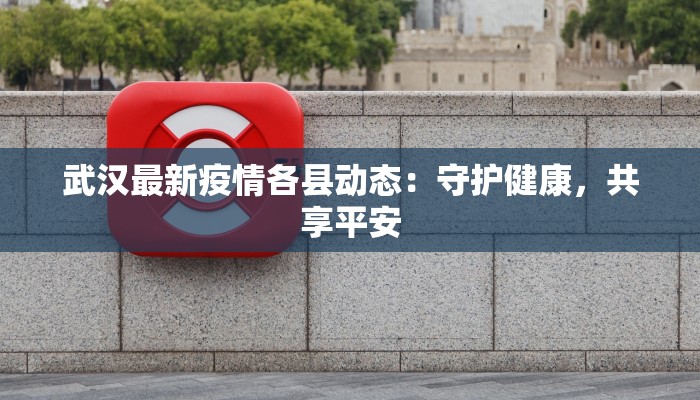 武汉最新疫情各县动态：守护健康，共享平安